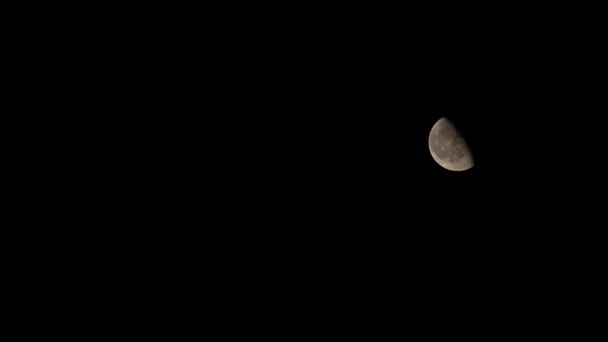 Luna Cer Noaptea Sfert Lună Este Ascuns Întuneric — Videoclip de stoc