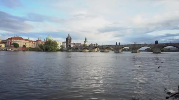 ヴルタヴァ川とそれらの間の橋の眺めは 晴れた日にプラハの中心部にある14世紀のカレル橋を含む — ストック動画