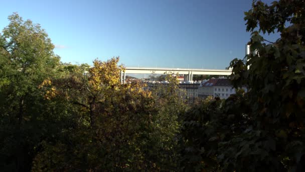 公园和背景中树木上五彩斑斓的叶子市中心的一座混凝土二极桥和捷克共和国秋天的蓝天 — 图库视频影像