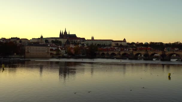 View Vltava River Prague Castle Vitus Cathedral Charles Bridge Center — Stock Video