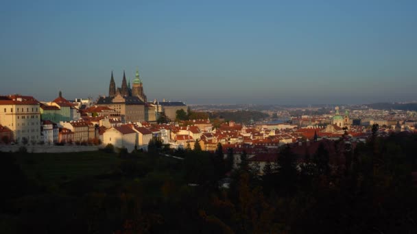 聖ヴィート大聖堂とプラハ城のパノラマと秋の日没時に木や草と近くにあり 空はプラハの中心部に青色です — ストック動画