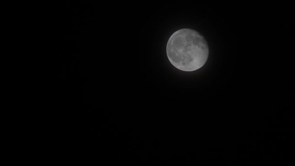 Luna Plină Mișcă Cerul Întunecat — Videoclip de stoc