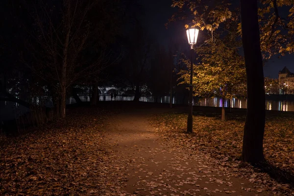 Luz Luzes Rua Parque Uma Calçada Para Pedestres Folhas Caídas — Fotografia de Stock