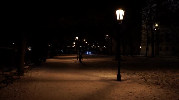 Prague Architecture 19Th Century Center Prague Night Street Lighting — Stock Video