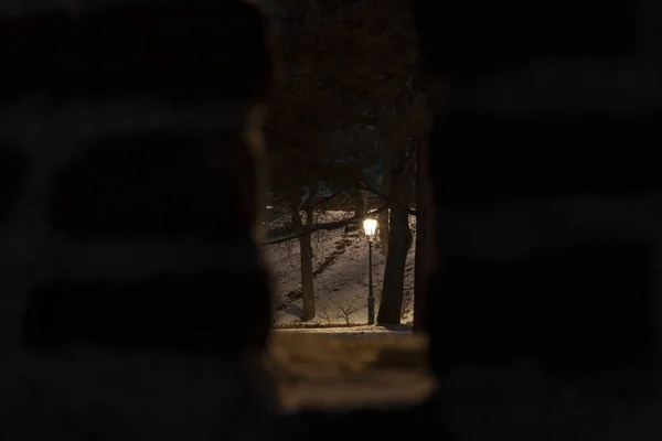 Light Street Lamp Sidewalks Snowy Park Trees Winter Blurred Hole — Stock Photo, Image