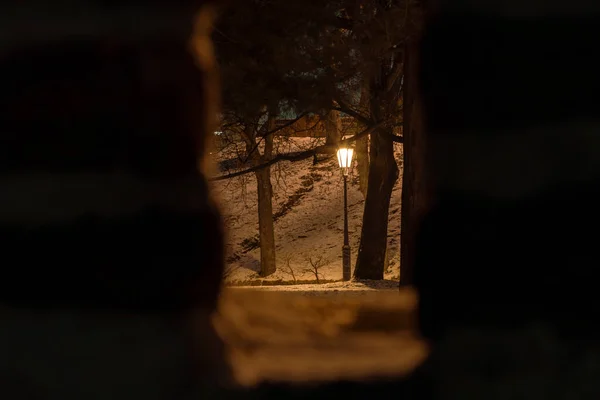 Licht Van Een Straatlamp Trottoirs Een Besneeuwd Park Tussen Bomen — Stockfoto