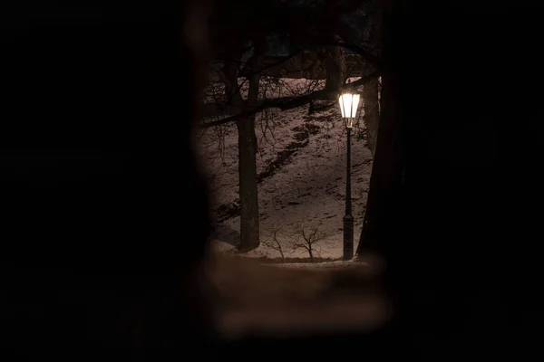 Licht Van Een Straatlamp Trottoirs Een Besneeuwd Park Tussen Bomen — Stockfoto