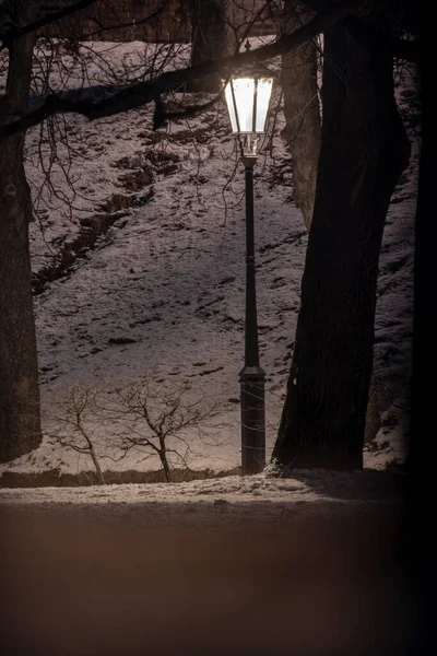 Světlo Pouliční Lampy Chodnících Dlažebních Kostek Zasněženém Parku Stromů Noci — Stock fotografie