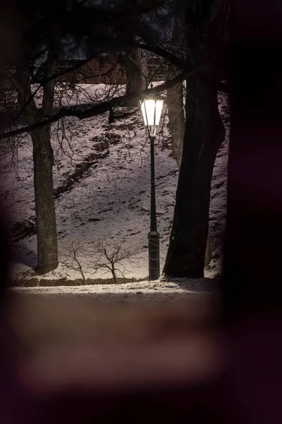 Světlo Pouliční Lampy Chodnících Zasněženém Parku Mezi Stromy Zimě Přes — Stock fotografie