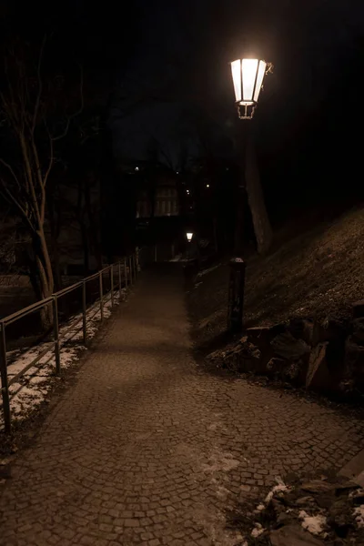 Lucerna Pouličních Lamp Pevnosti Vyšehrad Pozadí Rozmazaný Pražský Hrad Noci — Stock fotografie