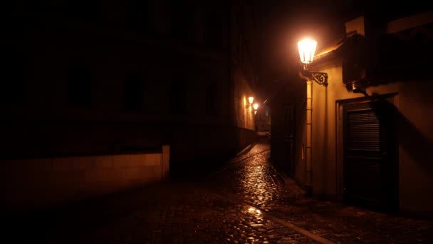 Statische Straßenbeleuchtung Und Ein Gepflasterter Bürgersteig Für Fußgänger Der Nacht — Stockvideo