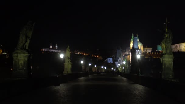 Світло Вулиці Статуї Кам Яному Мосту Карл Брідж Вночі Силуети — стокове відео