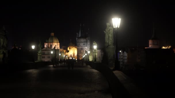 夜晚在石桥上的路灯和雕像 夜晚在布拉格市中心的桥上行走的人和天空中的鸟儿的轮廓 — 图库视频影像