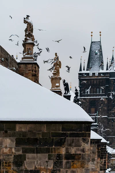 snow-covered street lights on Charles Bridge and a flock of seagulls in the sky near the bridge on the Vltava river in the center of Prague during the winter day and the bridge tower in the background