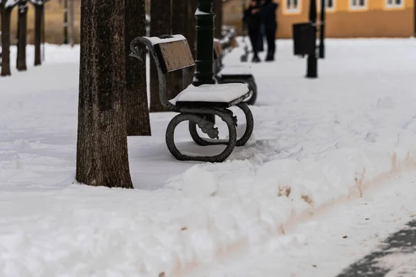 Parc Enneigé Avec Des Arbres Des Bancs Sur Place Dans — Photo