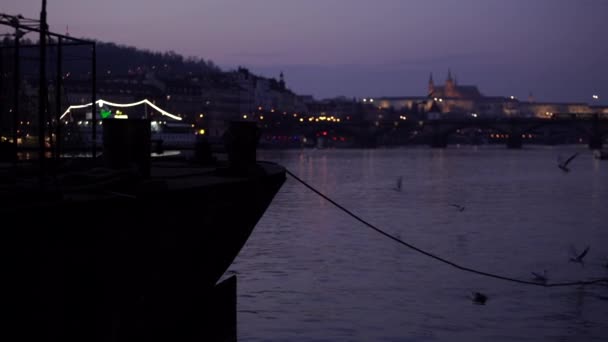 zoomování na Karlově mostě v noci na Vltavské riviéřeDvě bílé labutě, kachny na hladině Vltavy u břehu a v pozadí budovy v centru Prahy