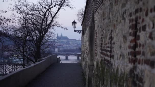 Zooma Karlsbron Natten Floden Vltava Rivetwo Vita Svanar Ankor Ytan — Stockvideo