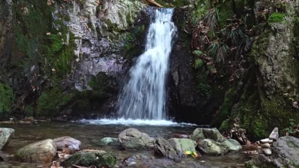 Waterfall Called Edelfrauengrab Autumn Black Forest Germany Mystic Waterfall Middle — Stock Video