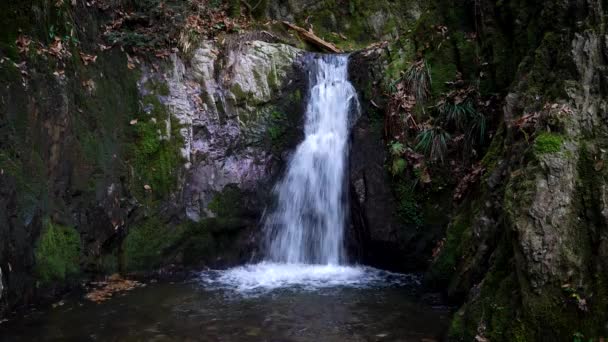 Waterfall Called Edelfrauengrab Autumn Black Forest Germany Mystic Waterfall Middle — Stock Video