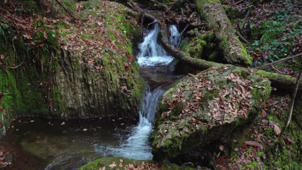 Waterfall Called Edelfrauengrab Autumn Black Forest Germany Mystic Waterfall Middle — Stock Video