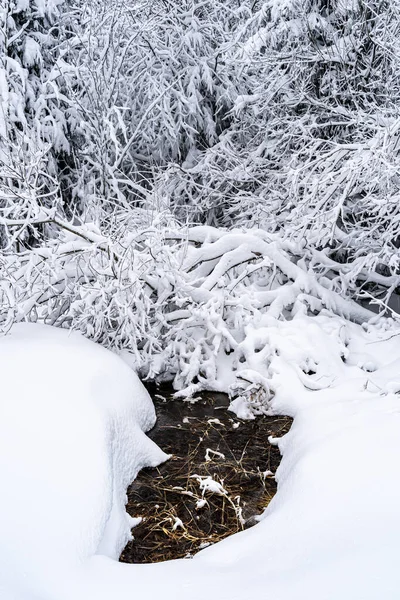 Scenic Winter Landschap Het Zwarte Woud Bergen Zware Sneeuwval Duitsland Rechtenvrije Stockafbeeldingen