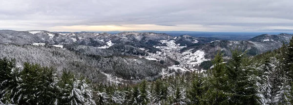 Panoramisch Uitzicht Winter Het Zwarte Woud Zware Sneeuwval Duitsland Stockfoto