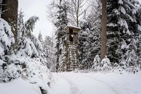 Scenic Winter Landschap Het Zwarte Woud Bergen Zware Sneeuwval Duitsland Stockafbeelding