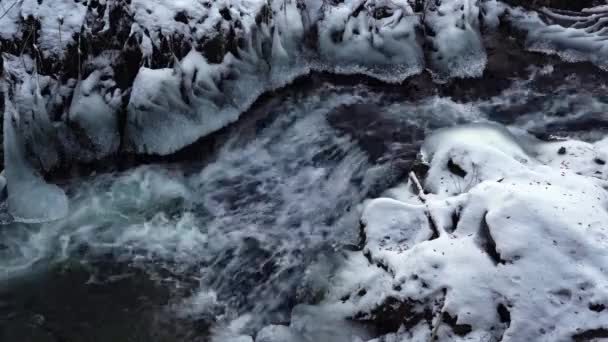 Rio Montanha Congelado Que Flui Através Rochas Geladas Neve Floresta — Vídeo de Stock