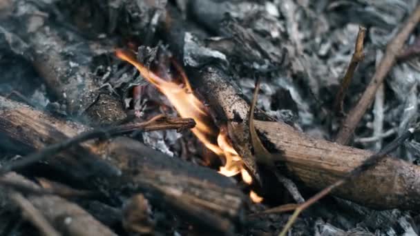 Mały Płomień Niskiej Temperatury Który Pozostaje Płonie Wielkiego Ognia Popiół — Wideo stockowe