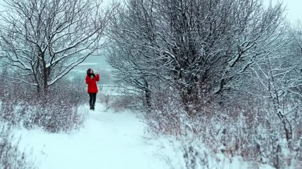 Entre Árvores Cobertas Neve Está Uma Jovem Linda Garota Preocupada — Vídeo de Stock