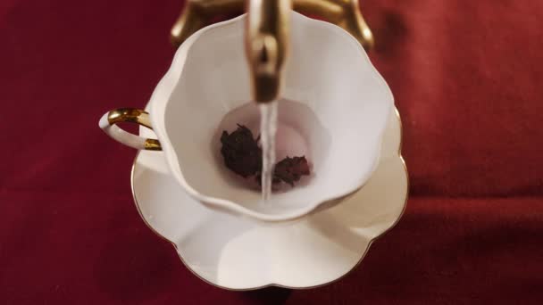 Τσάι Από Αποξηραμένα Άνθη Περίανθου Roselle Hibiscus Sabdariffa Ξινό Ποτό — Αρχείο Βίντεο