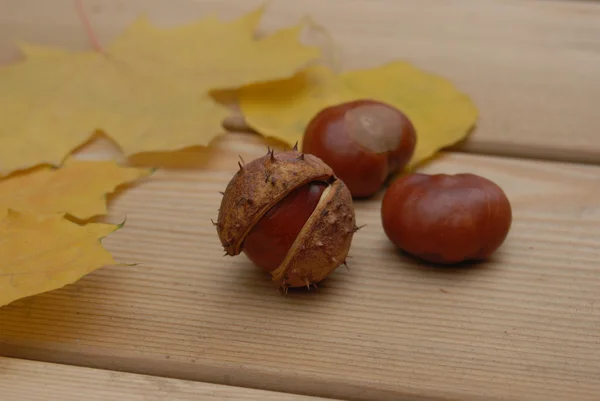 Chestnuts and leaves — Stock Photo, Image