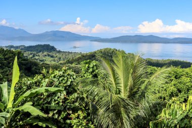 Filipinler 'deki Palawan adasının üzerinde güzel bir gözcü. Adanın büyük bir kısmı yağmur ormanları, hindistan cevizi palmiyeleri ve çiftlikleri, tropikal plajlar ve ünlü kasabalar El Nido ve Puerto Princesa 'dır..