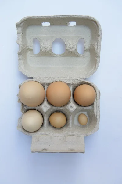 Eieren (uitknippad) — Stockfoto