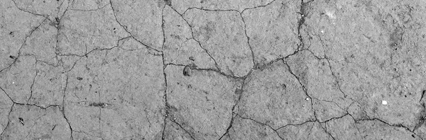 Dry and cracked land — Stock Photo, Image