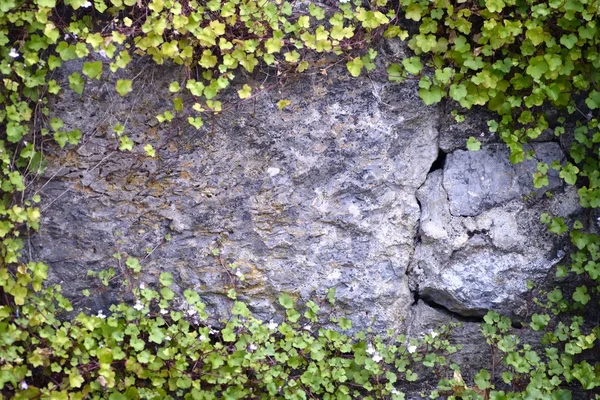 Stone wall frame — Stock Photo, Image