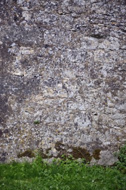 taş duvar ve çim arka plan