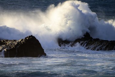 Sahilde dalgalar kopuyor