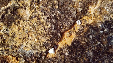 Kabuk kaya dokusu. Taş kırmızıdır. Kaya kabuklu granüler bir yapıya sahiptir. Olaysız, sert kaya yüzeyi. Doğal arka plan. Yüksek kalite fotoğraf. Yatay yakın plan