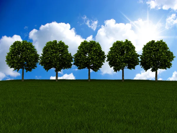 Árbol solitario en un prado verde — Foto de Stock