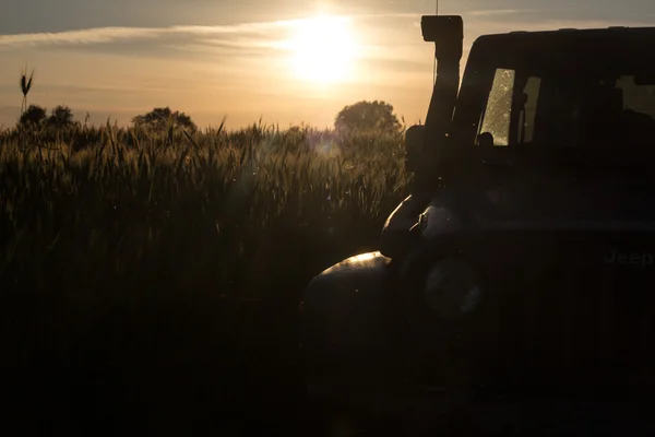 Novgorod region, Russia, June 18, 2016 , journey, Jeep Wrangler Novgorod region, Wrangler is a compact four wheel drive off road and sport utility vehicle — Stock Photo, Image