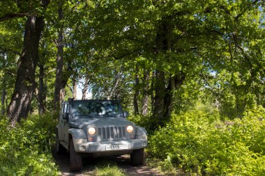 Rusya gezisi Jeep Wrangler