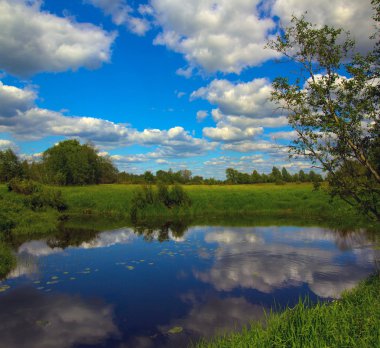 Güneşli yaz günü nehir, Rusya Federasyonu