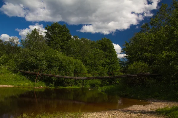 Soleado día de verano en el río, Rusia —  Fotos de Stock