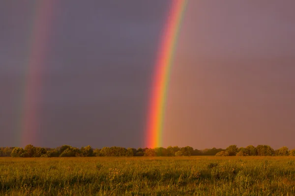 Lever de soleil sur le terrain, la nature de la Russie — Photo