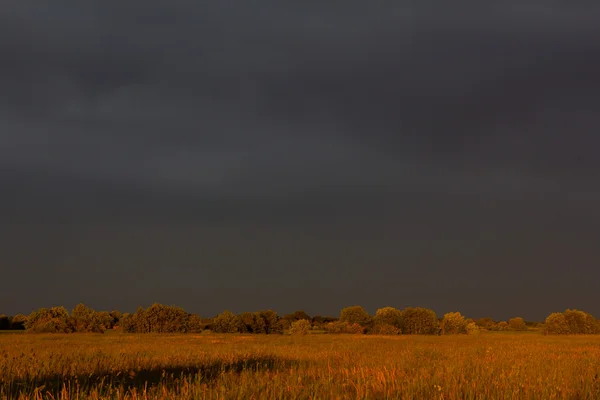 Răsărit de soare în câmp, natura Rusiei — Fotografie, imagine de stoc