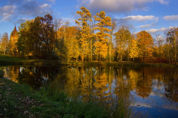Goldener Herbst im Puschkinpark St. Petersburg, Russland — Stockfoto