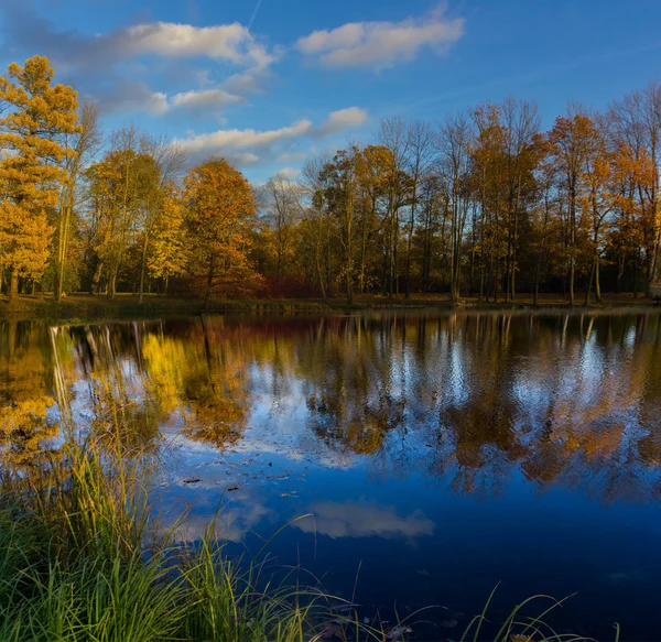 Zlatý podzim v Puškinově parku St. Petersburg, Rusko — Stock fotografie