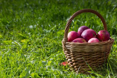 Kırmızı elmalı sepet