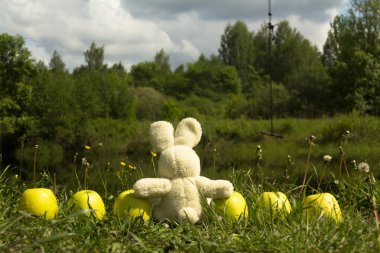 bir oyuncak tavşan ve bir yeşil elma, bir oyuncak tavşan çim yeşil elma ile oturuyor